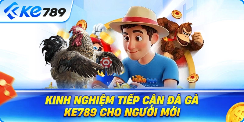 Kinh Nghiệm Tiếp Cận Đá Gà Ke789 Cho Người Mới